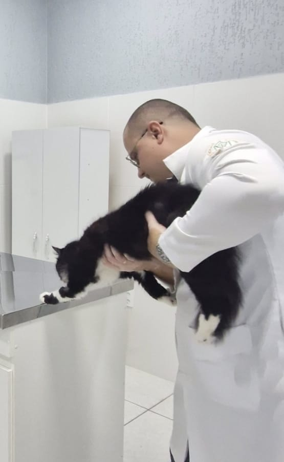 Neurologia Veterinária Landing Image